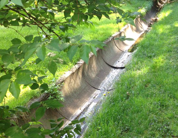 easement surveyor