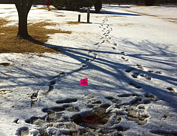 utility easement